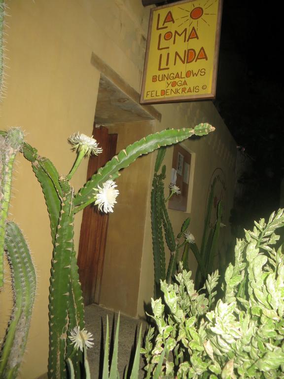 La Loma Linda, Bungalows, Yoga And Feldenkrais, Starlink Internet Zipolite Extérieur photo
